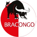 BRACONGO SA