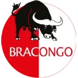 BRACONGO SA
